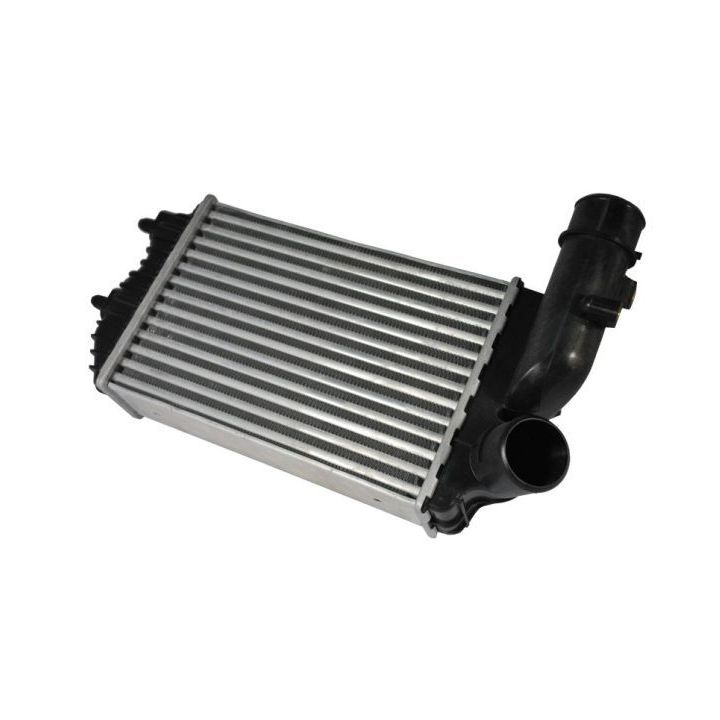 Tarpinis suslėgto oro aušintuvas, kompresorius THERMOTEC DAF001TT