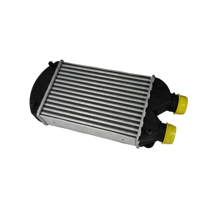 Tarpinis suslėgto oro aušintuvas, kompresorius THERMOTEC DAF002TT