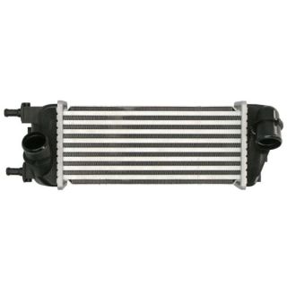 Tarpinis suslėgto oro aušintuvas, kompresorius THERMOTEC DAF015TT