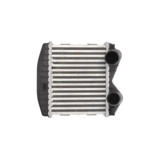 Tarpinis suslėgto oro aušintuvas, kompresorius THERMOTEC DAM012TT