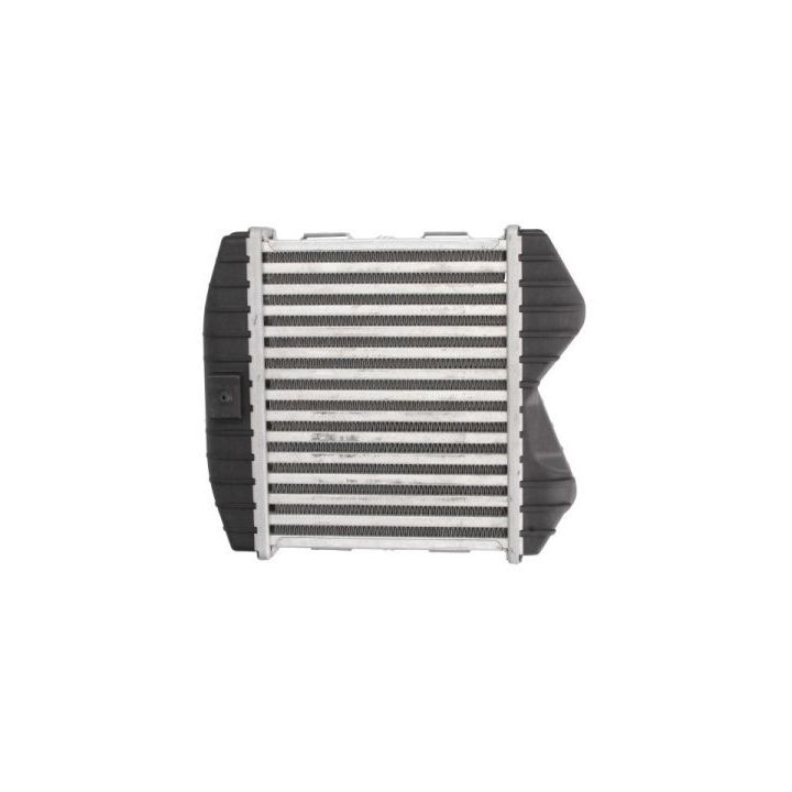 Tarpinis suslėgto oro aušintuvas, kompresorius THERMOTEC DAM012TT