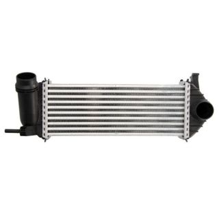 Tarpinis suslėgto oro aušintuvas, kompresorius THERMOTEC DAM019TT