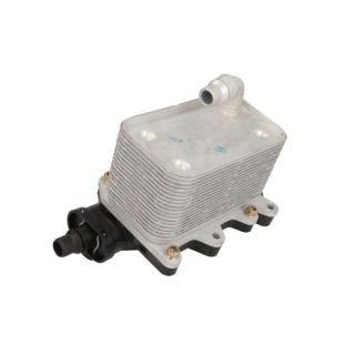 Alyvos aušintuvas, automatinė transmisija THERMOTEC D4B008TT