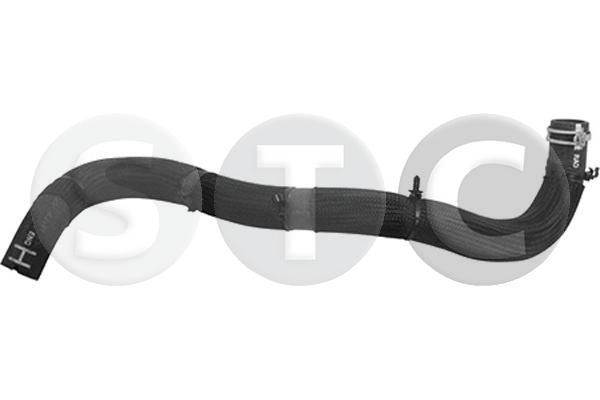 Radiatoriaus žarna STC T497184