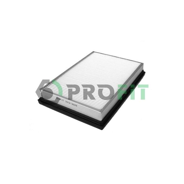 Oro filtras PROFIT 1512-2603