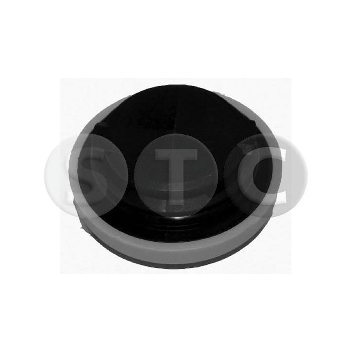 Dangtelis, alyvos pildymo anga STC T403674