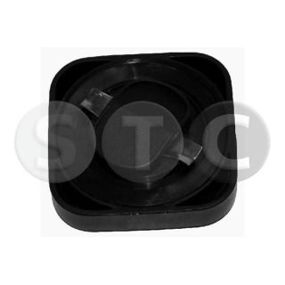 Dangtelis, alyvos pildymo anga STC T403747