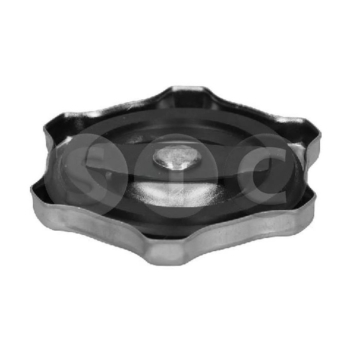 Dangtelis, alyvos pildymo anga STC T431644