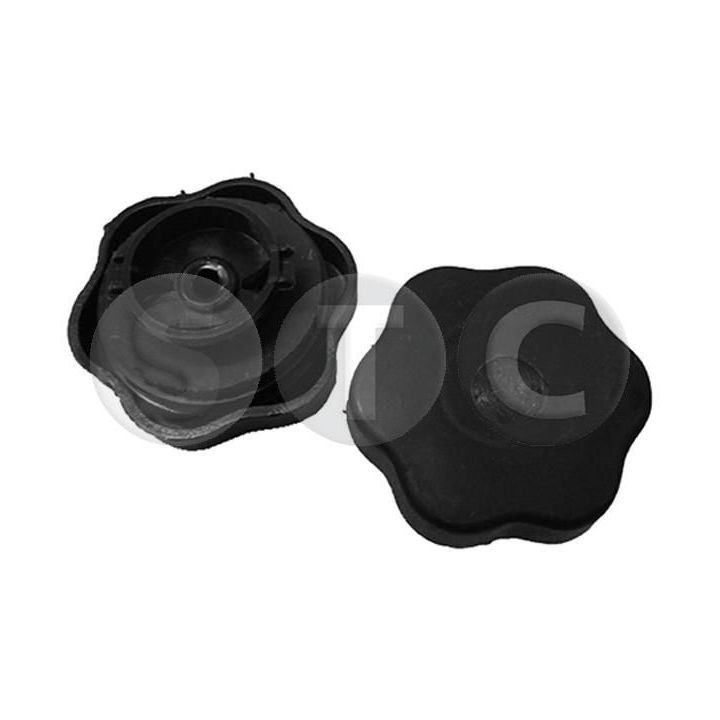 Dangtelis, alyvos pildymo anga STC T445127