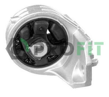 Variklio montavimas PROFIT 1015-0362