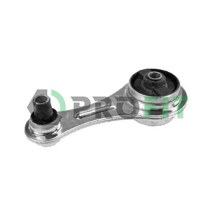 Variklio montavimas PROFIT 1015-0372