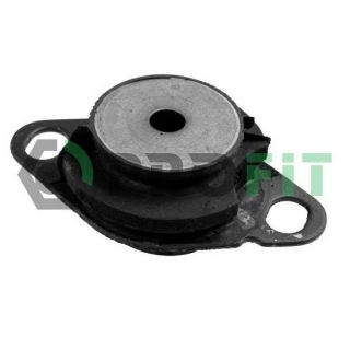 Variklio montavimas PROFIT 1015-0378