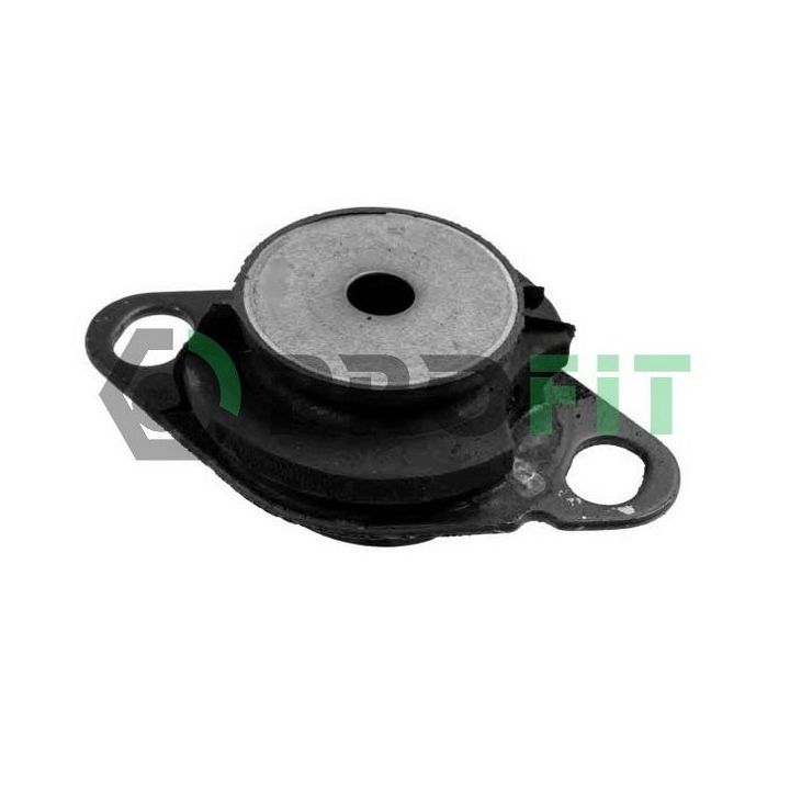 Variklio montavimas PROFIT 1015-0378