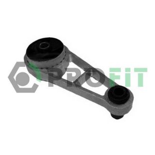 Variklio montavimas PROFIT 1015-0391