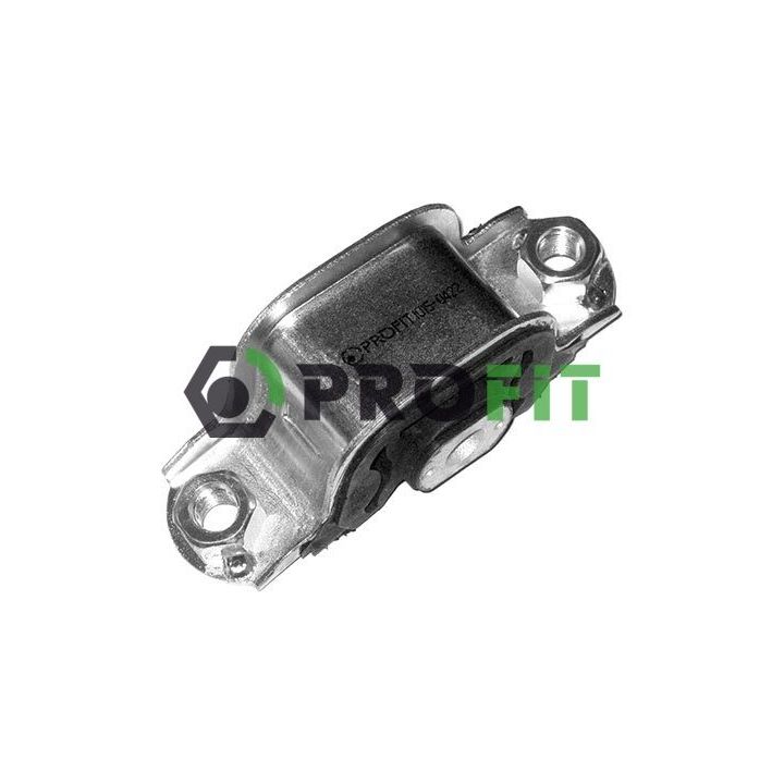 Variklio montavimas PROFIT 1015-0422