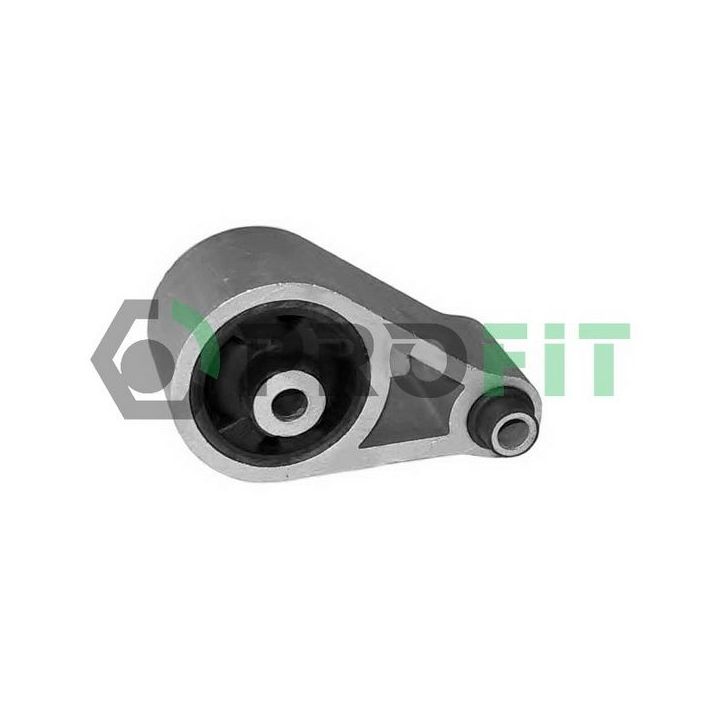 Variklio montavimas PROFIT 1015-0487