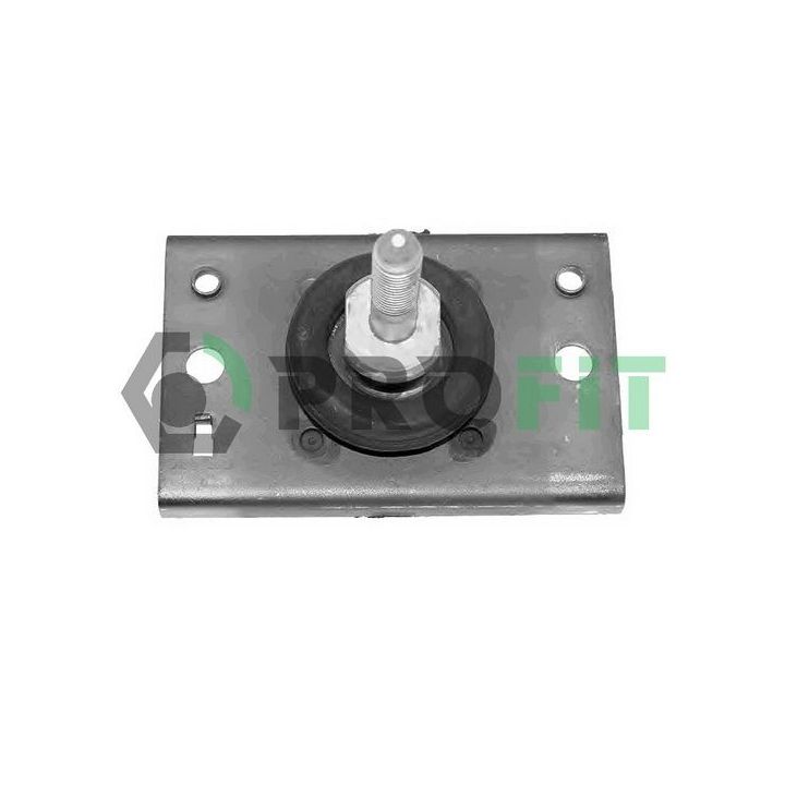 Variklio montavimas PROFIT 1015-0489