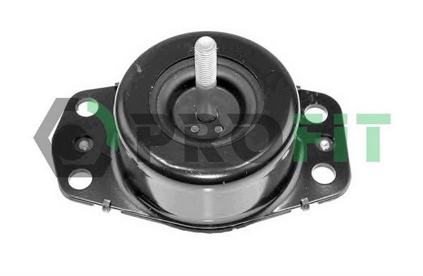 Variklio montavimas PROFIT 1015-0499