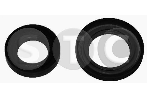 Veleno sandariklis, diferencialas STC T404564