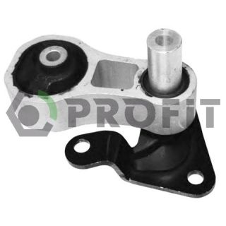 Variklio montavimas PROFIT 1015-0531