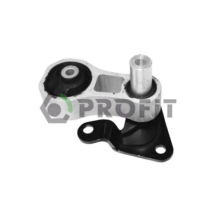 Variklio montavimas PROFIT 1015-0531