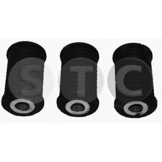 įvorė, lakštinė lingė STC T404779