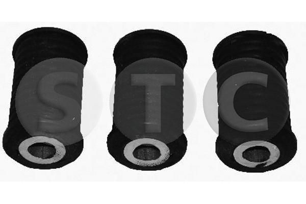 įvorė, lakštinė lingė STC T404779