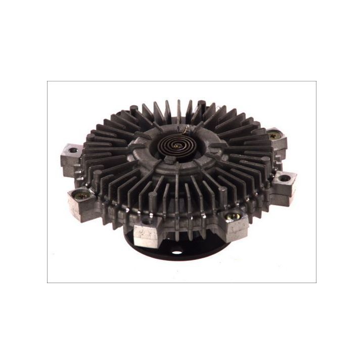 Sankaba, radiatoriaus ventiliatorius THERMOTEC D50301TT