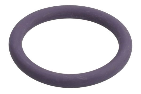 Tarpiklis, aušinimo skysčio vamzdelis THERMOTEC DCR277TT