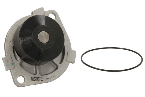 Vandens siurblys, variklio aušinimas THERMOTEC D1F060TT