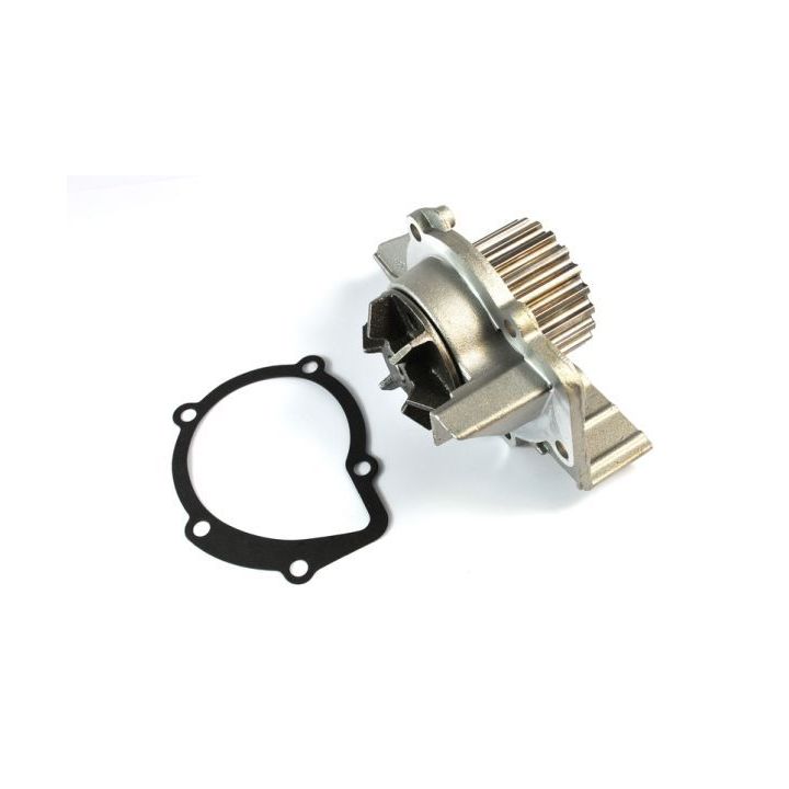 Vandens siurblys, variklio aušinimas THERMOTEC D1F061TT