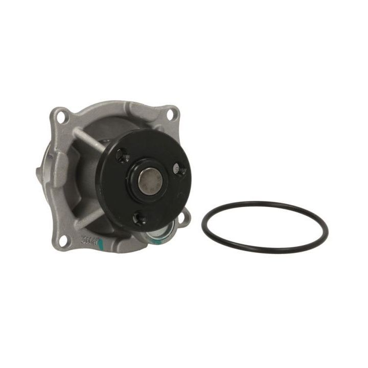 Vandens siurblys, variklio aušinimas THERMOTEC D1G002TT