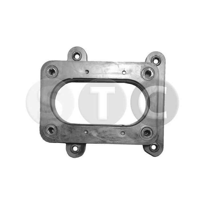 Jungė, karbiuratorius STC T402700