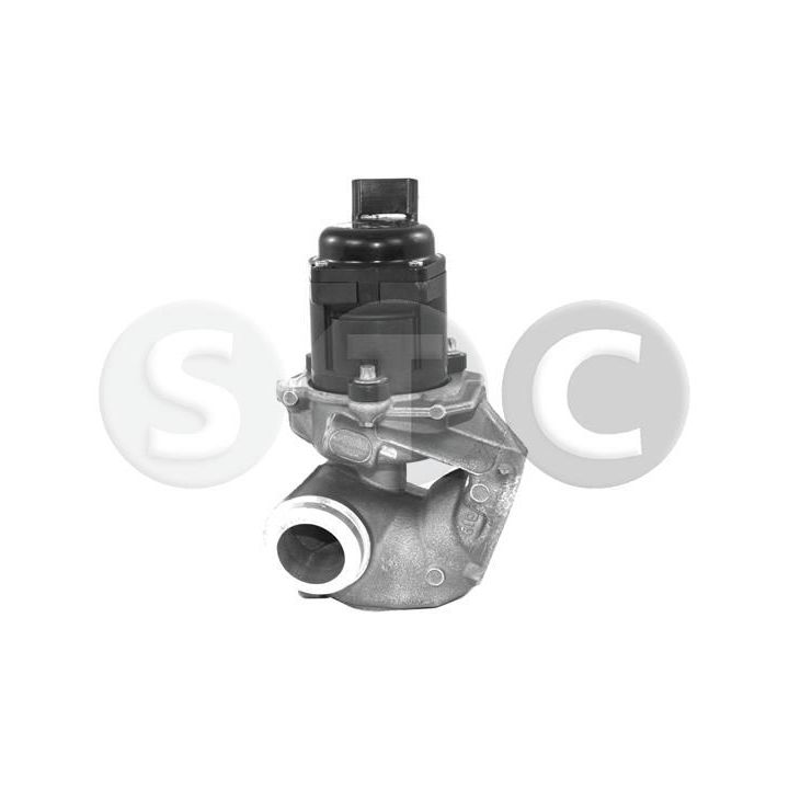 ERG vožtuvas STC T493023