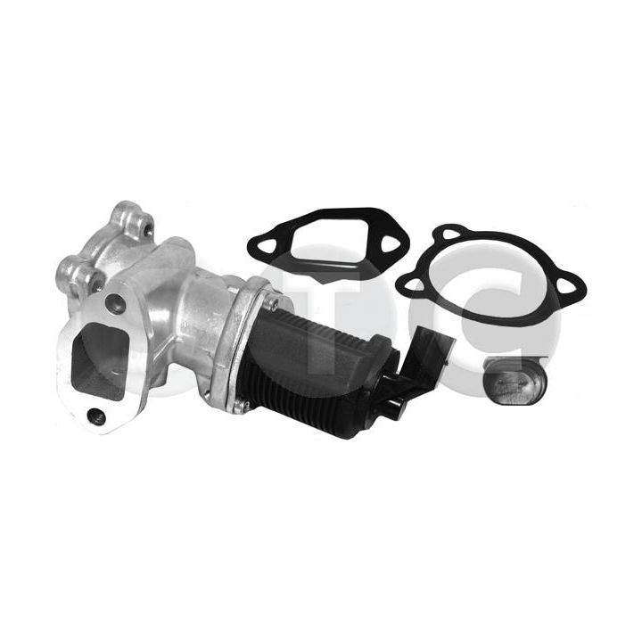 ERG vožtuvas STC T493044