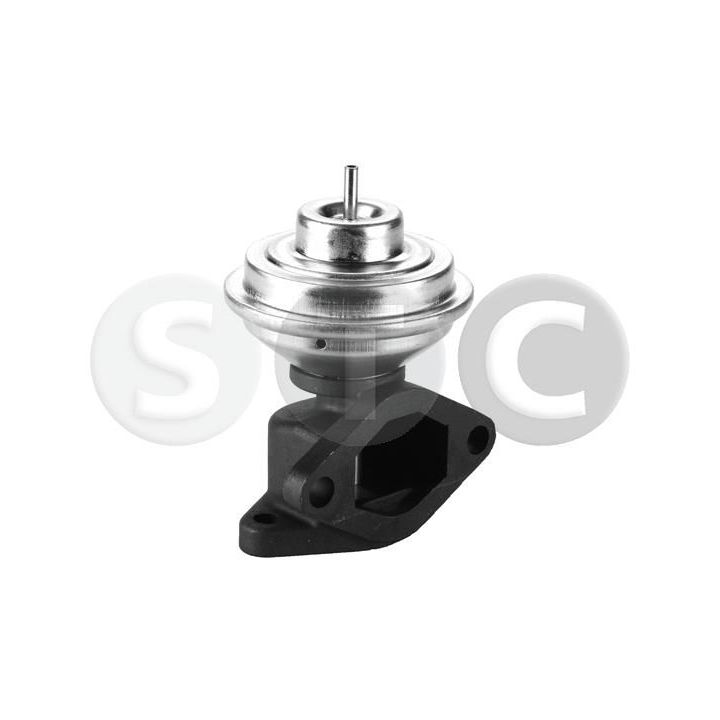 ERG vožtuvas STC T493060