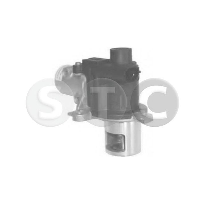 ERG vožtuvas STC T493070