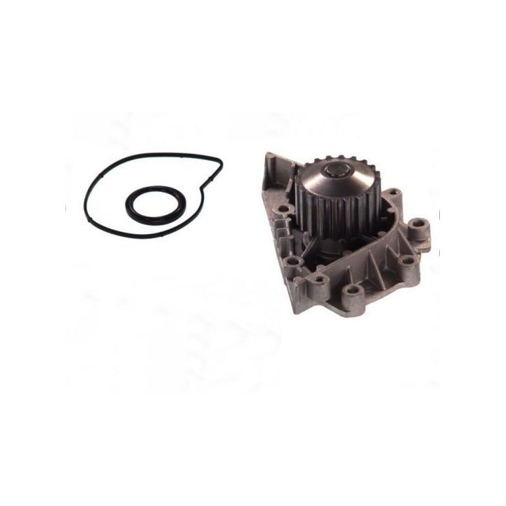 Vandens siurblys, variklio aušinimas THERMOTEC D1P042TT