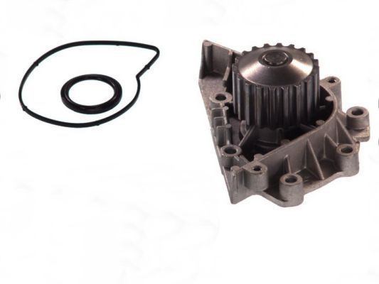 Vandens siurblys, variklio aušinimas THERMOTEC D1P042TT