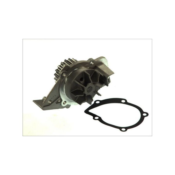 Vandens siurblys, variklio aušinimas THERMOTEC D1P045TT