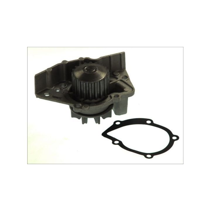 Vandens siurblys, variklio aušinimas THERMOTEC D1P045TT