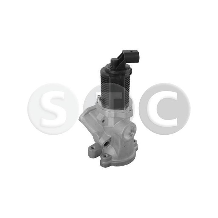 ERG vožtuvas STC T493084