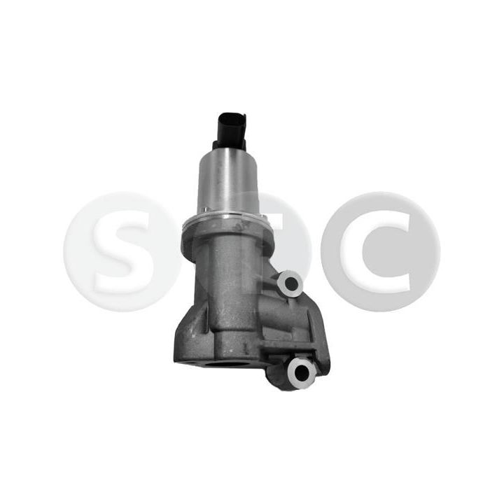 ERG vožtuvas STC T493150