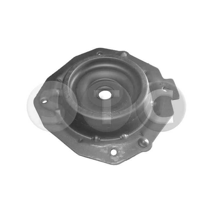 Pakabos statramsčio atraminis guolis STC T400967