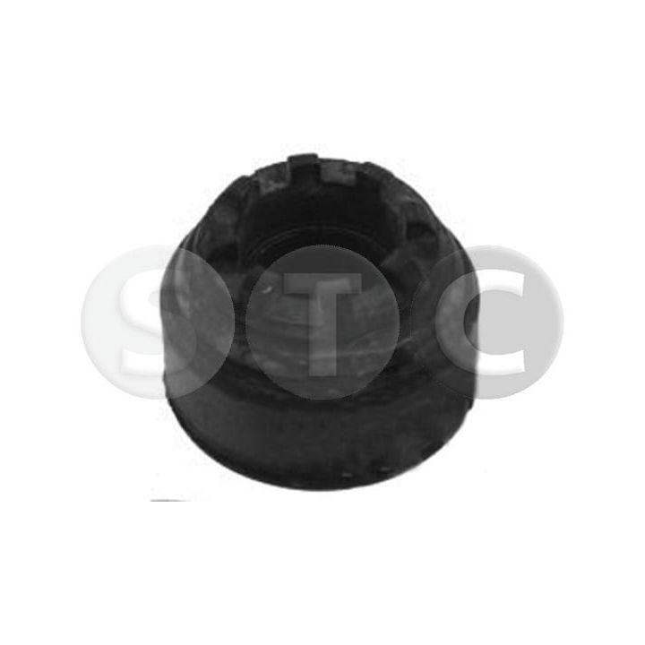 Pakabos statramsčio atraminis guolis STC T404205