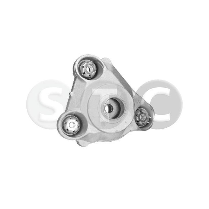 Pakabos statramsčio atraminis guolis STC T404570