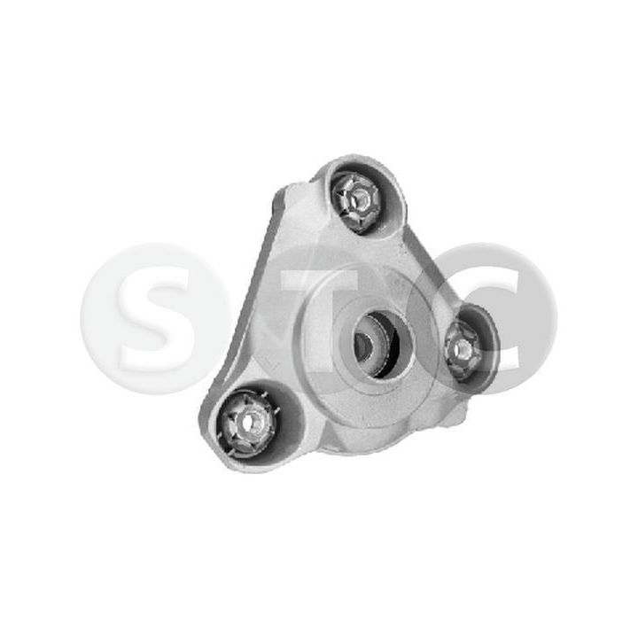 Pakabos statramsčio atraminis guolis STC T404571