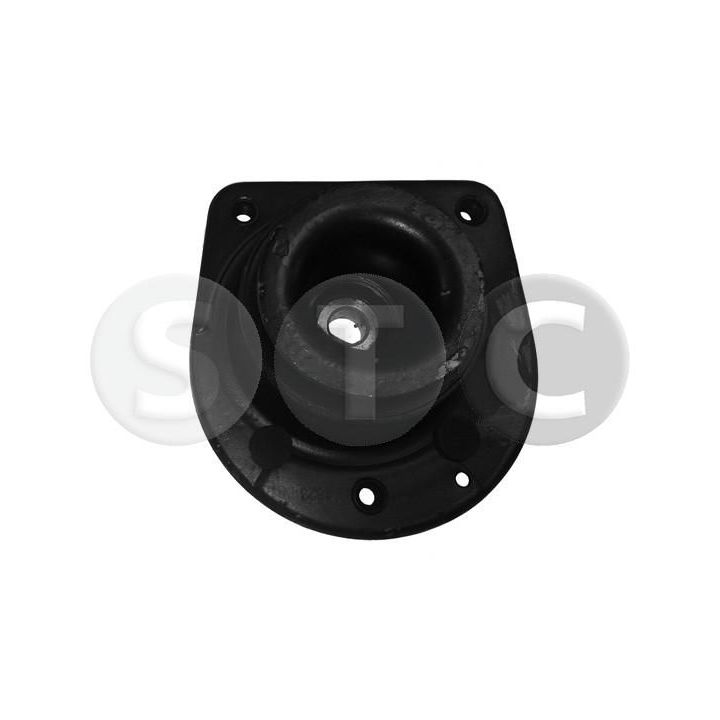 Pakabos statramsčio atraminis guolis STC T404823