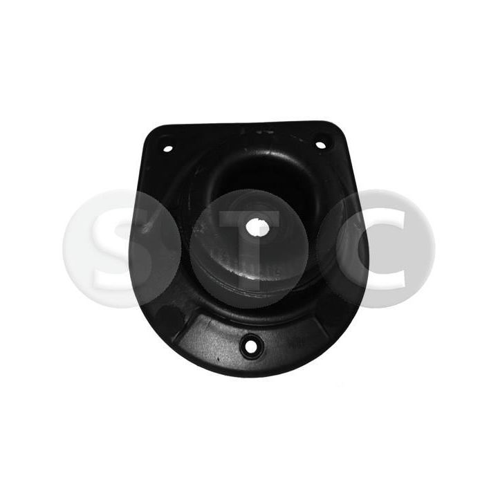 Pakabos statramsčio atraminis guolis STC T404824