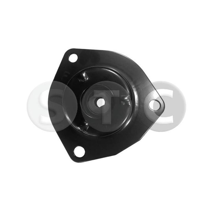 Pakabos statramsčio atraminis guolis STC T423105